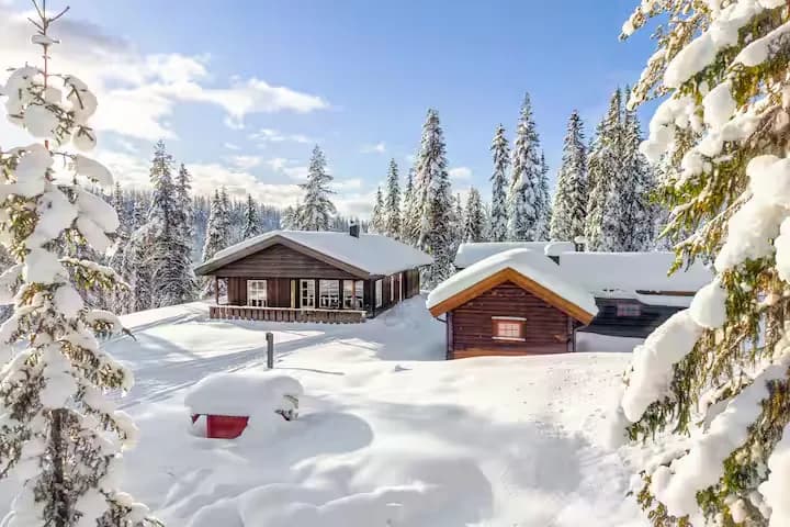 Bruråskoiene på Furutangen