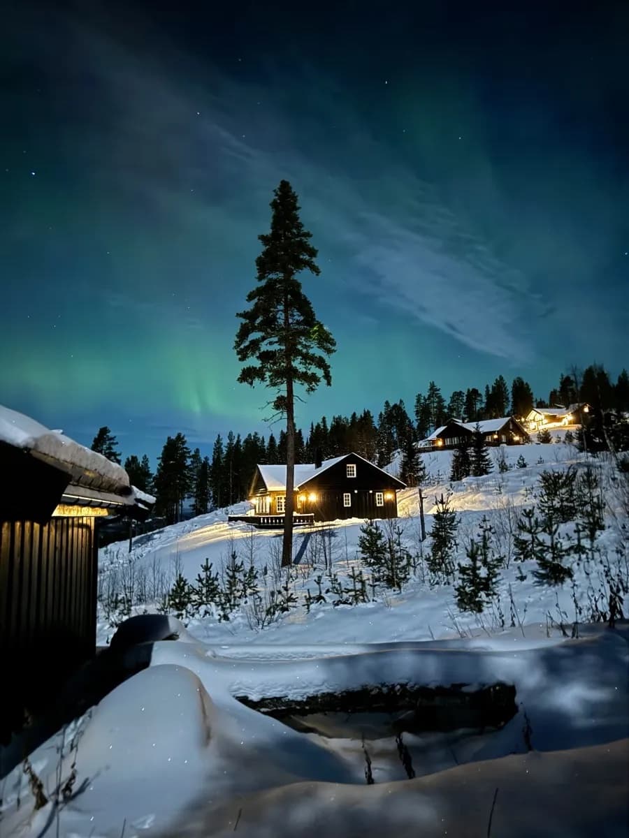 Hytter under nordlyset på Furutangen
